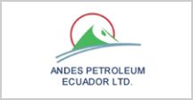 Petrokem Clientes Andes Petroleum