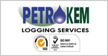 Petrokem Clientes Petrokem Logic Services